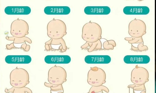 碱式硝酸铋别名-碱式硝酸铋化学式-碱式硝酸铋化学式,中国碱式硝酸铋片禁忌网站