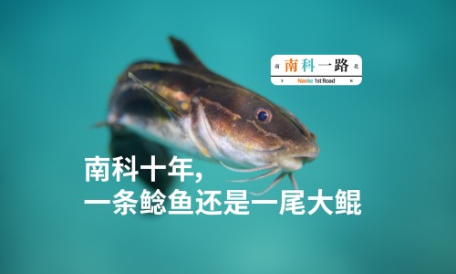 碱式硝酸铋和碳酸铋的区别-碱式硝酸铋化学式-碱式硝酸铋化学式,中国碱式硝酸铋片禁忌网站